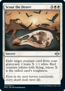 Scour The Desert Foil