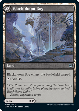 Blackbloom Rogue // Blackbloom Bog MTG Zendikar Rising #091