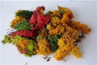 Javis Scenics: Bulk Pack Mixed Colour Lichen (JBULKMC)