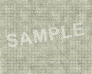 Pathfinder Flip Mat: Basic