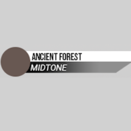 Ancient Forest Duncan Rhodes Pai...