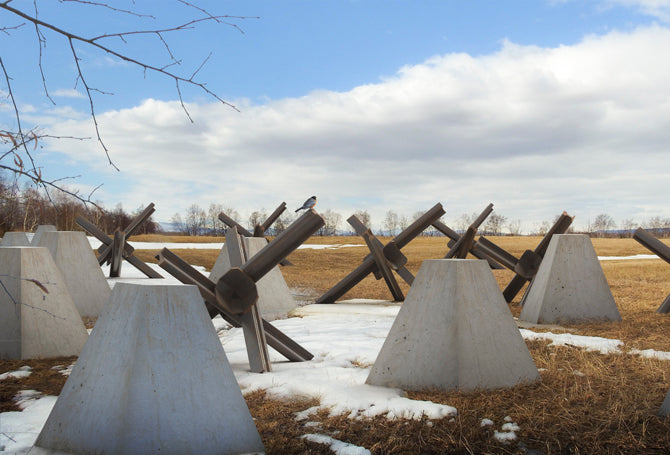 Dragon Teeth & Czech Hedgehog: www.mightylancergames.co.uk