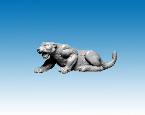 North Star Africa! - AA17 Leopard