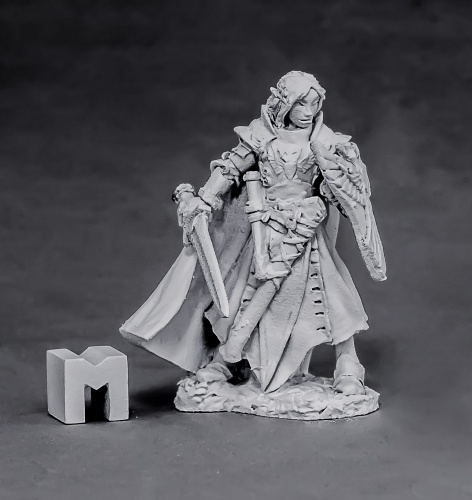 03863: Alandin, Elf Paladin by Werner Klocke