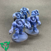 5x Primaris Terminators - Prelov...