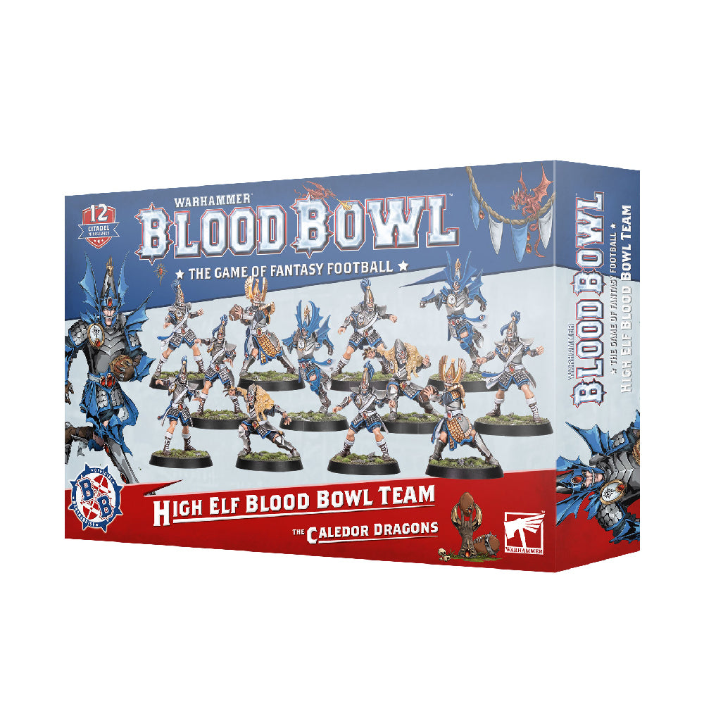 High Elf Blood Bowl Team