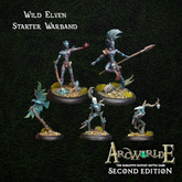Wild Elven Starter Warband for A...
