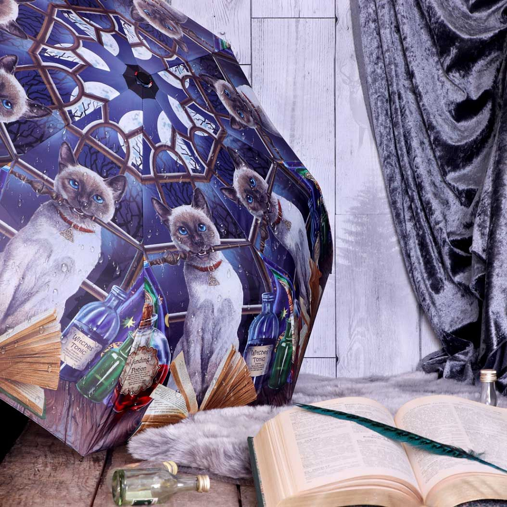 Hocus Pocus umbrella from the magical mind of Lisa Parker helping you to keep dry and be stylish with its repeat picture of a blue point Siamese cat wearing a red collar decorated with a triquetra talisman sat in front of a window with a wand in her mouth and a spell book open in front of her making a wonderful edition to your rainwear or as a gift for a cat loving friend. 