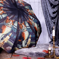 Adventure Awaits umbrella from the magical mind of Lisa Parker helping you to keep dry and be stylish with its repeat picture of an inquisitive cat sat in front of a window sheltering from the storm outside making a wonderful edition to your rainwear or as a gift for a cat loving friend.