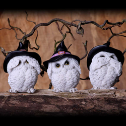 Three Wise Owls Feathered Familiars from Nemesis Now. This hand painted trio of figurines portray Confucius' "See No Evil, Hear No Evil, Speak No Evil" with a unique twist—they are a witches familiar, cute witch hat wearing white owls. 