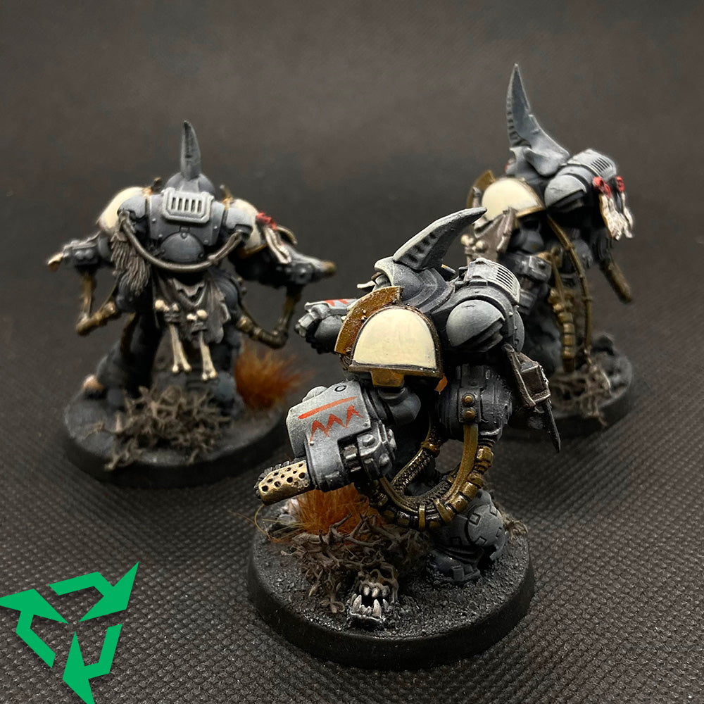 Charcharodons Primaris Aggressors Preloved Miniatures