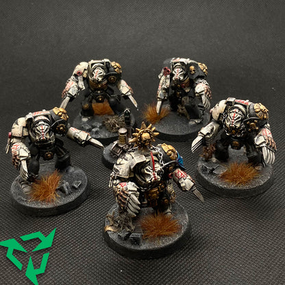 Charcharodons Terminator Assault Squad Preloved Miniatures