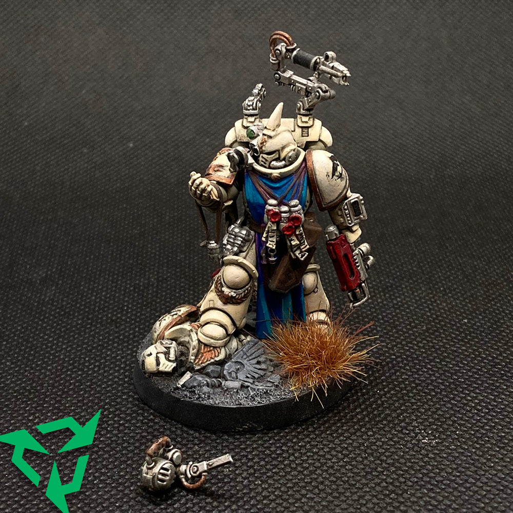 Charcharodons Primaris Apothecary Preloved Miniatures