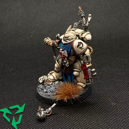 Charcharodons Primaris Apothecary Preloved Miniatures