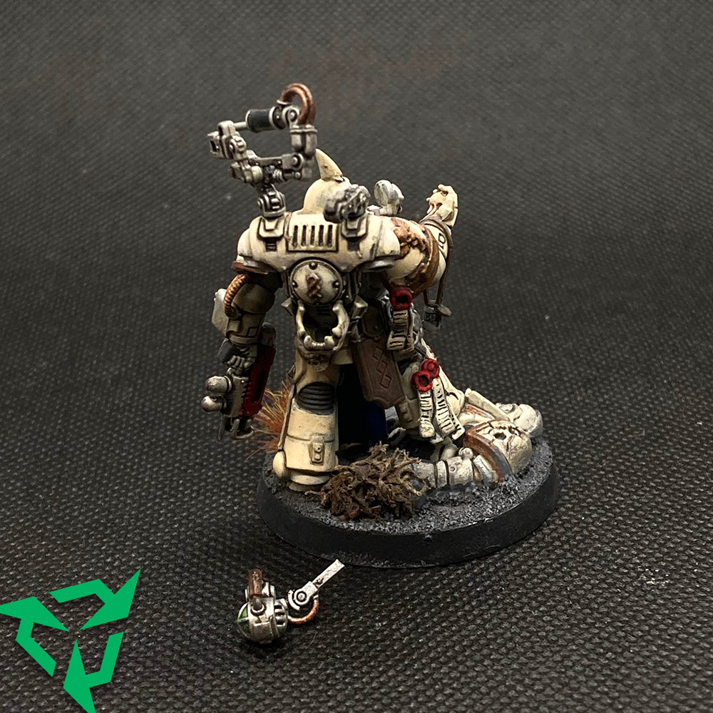 Charcharodons Primaris Apothecary Preloved Miniatures
