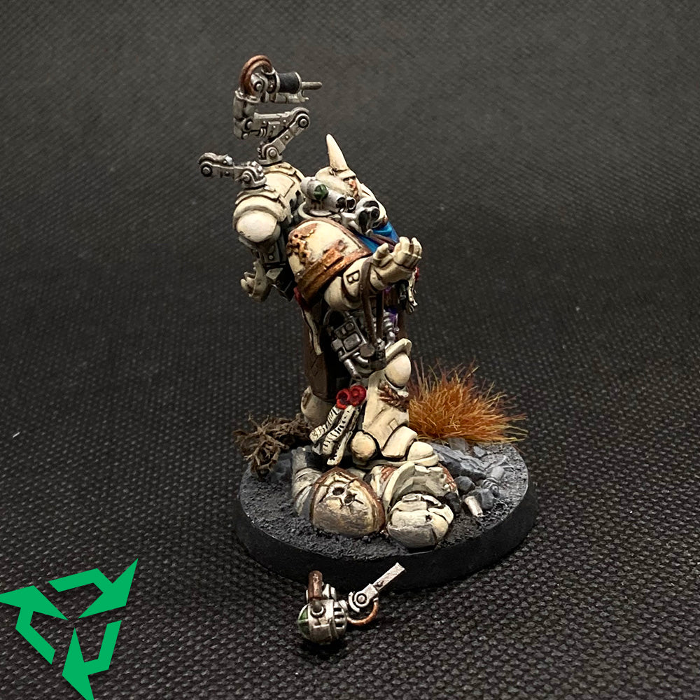 Charcharodons Primaris Apothecary Preloved Miniatures