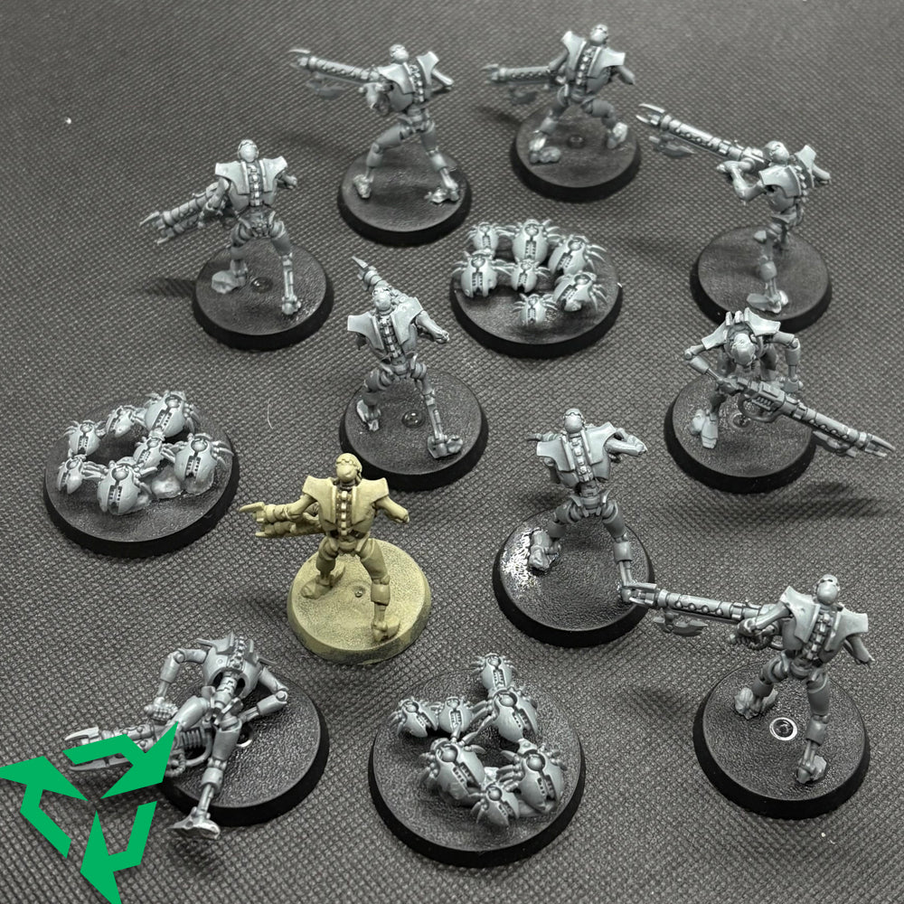 Preloved Necron Warriors & Scarabs