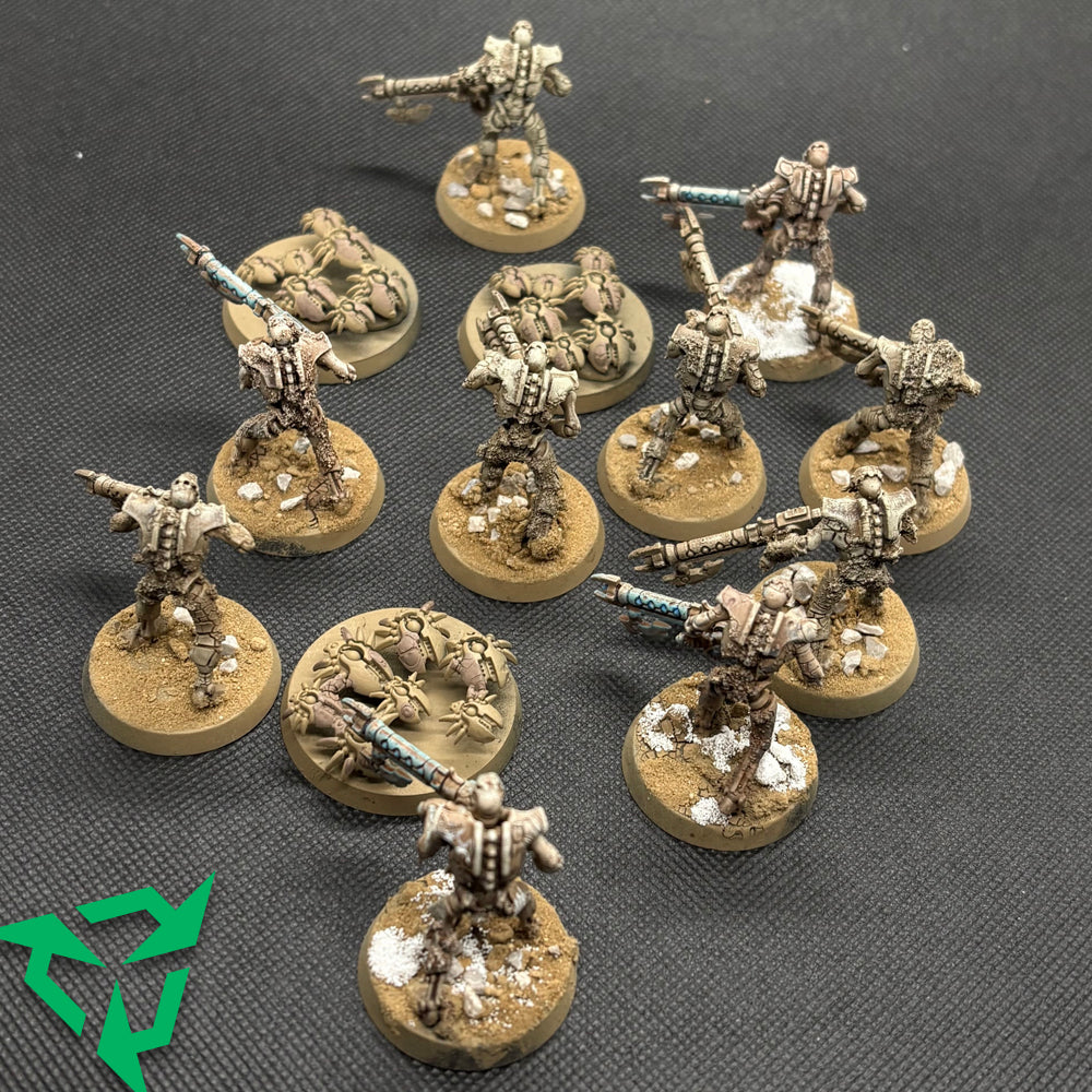 Part-Painted Desert Necrons