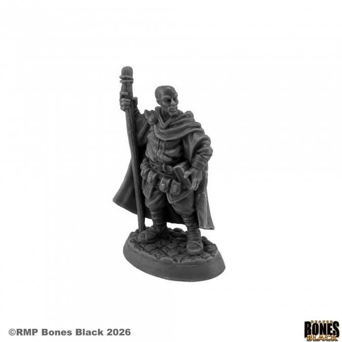 44273 Amari, Wizard - Reaper Bones Black