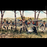Napoleonic Wars French Infantry ...