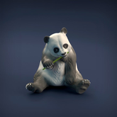 Giant Panda by Iron Gate Scenery...