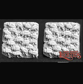 02492 Scarab Beetle Swarm (2)