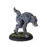 Wulver by Oakbound Studio. A lead pewter miniature supplied with 30mm round lipped base. A werewolf /wolf in a dynamic pose for your tabletop and RPGs.