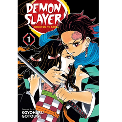 Demon Slayer: Kimetsu No Yaiba, Vol. 1| Manga Graphic Novel
