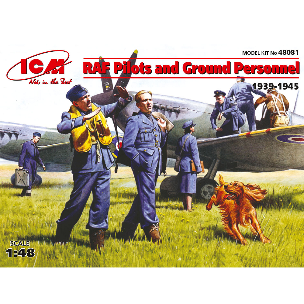 RAF Pilots and Ground Personnel (1939-1945)