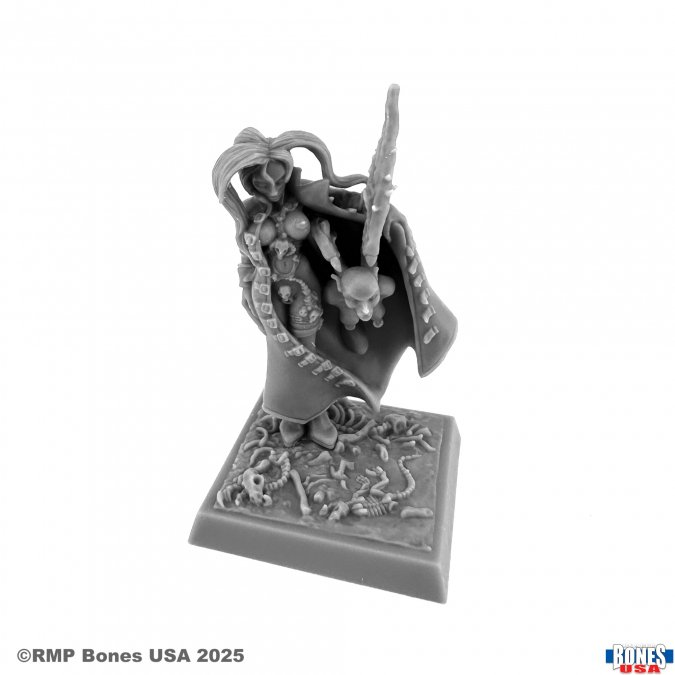 30228 Chaos Sorceress - Bones USA Reaper Legends