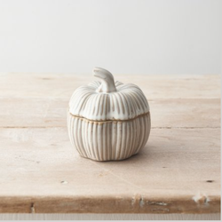 Pumpkin Lidded Container- Natural 9.5cm. A natural colour lidded container in a pumpkin shape. This ceramic decorative item has a white, beige colour making a sophisticated and useful edition to your home