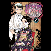 Demon Slayer Kimetsu no Yaiba Vo...