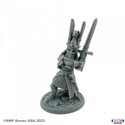 30155 Sir James The Blue Heraldic Knight from the Reaper bones USA legends range, sculpted by Werner Klocke. A digitally remastered miniature representing a heraldic knight with an elaborate phoenix helm and holding a two handed sword for your tabletop gaming and hobby needs.&nbsp; &nbsp;