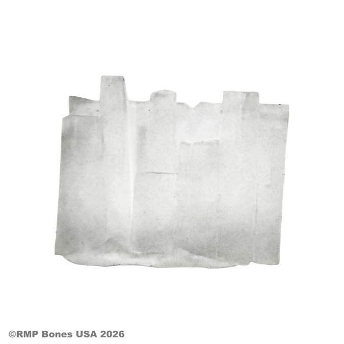 07236 Wall of Ice Spell Effect Translucent (Clear) Wall - Reaper Dungeon Dwellers