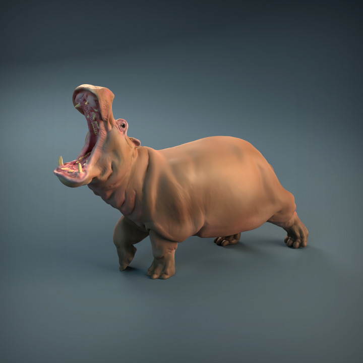 Angry Hippo by Iron Gate Scenery a 28mm scale printed resin hippopotamus with its jaw open and one foot slightly raised from the ground for your tabletop gaming needs