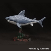 44211 Great White Shark - Bones ...
