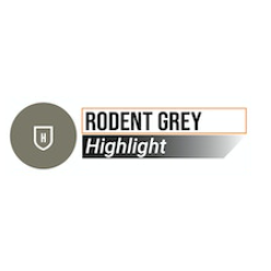Rodent Grey Duncan Rhodes Painting Academy Two Thin Coats paint