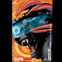 Flash #6 - Mulvihill Cover Comic