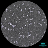 Base Ready Grimdark Tomb World V...