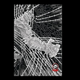 Ronin Book II #6 from Frank Mill...