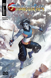 Thundercats Lost #3 Cover C Hetrick