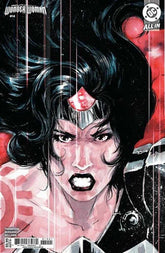 Absolute Wonder Woman #14 Cover ...