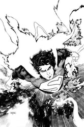 Absolute Superman #16 Cover D Ma...