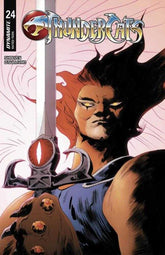 Thundercats #24 Cover C Jae Lee ...