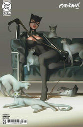 Catwoman #86 Cover D W Scott For...