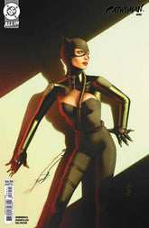 Catwoman #89 Cover D W Scott For...