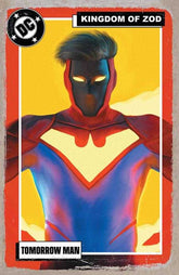 Superman Unlimited #17 Cover D M...