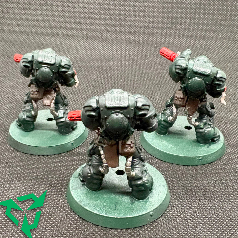 Trade In Eradicators Rear View