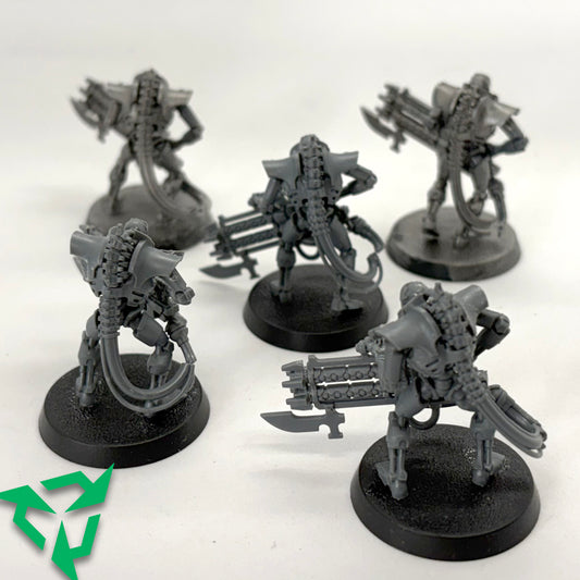 Preloved Necron Immortals Squad ...