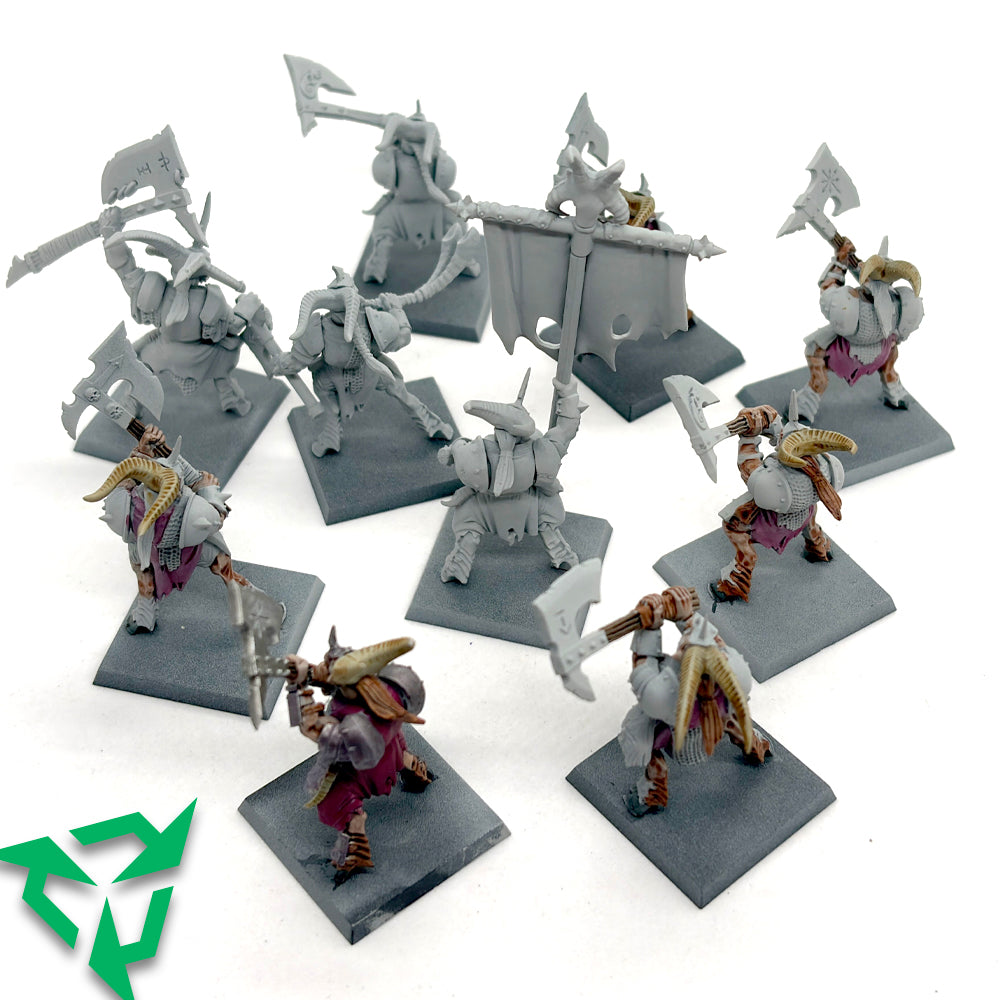 Preloved Warhammer Bestigor Herd Back